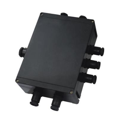 BJX8050防爆防腐接線箱 BJX8050防爆防腐接線箱