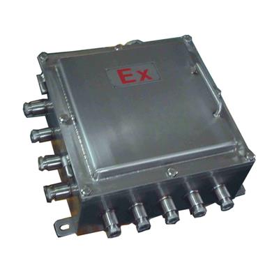 304不銹鋼IIB級(jí)防爆接線箱 304不銹鋼IIB級(jí)防爆接線箱